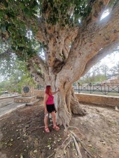 Awaken Your Hidden Goddess Retreat at Nissi Avenue - Central Ayia Napa - Ayia Napa - 4