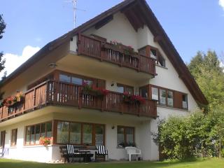 Haus Marianne Dörflinger - Schluchsee - 7