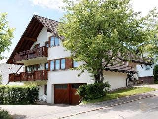 Haus Marianne Dörflinger - Schluchsee - 4