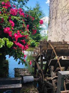 Détente assurée au moulin de papalis - Ribérac - 6