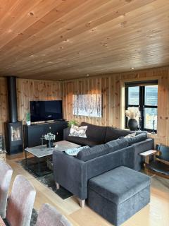 Flott hytte Sol, utsikt, Jacuzzi - Hovden - 2