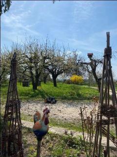 Agroturystyka Podłazy - - 4