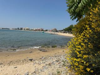 Prestige Fort Sveti Vlas Aparthotel 1 bedroom 4 people - 7