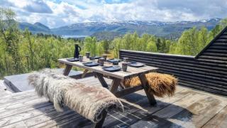 Flott hytte Sol, utsikt, Jacuzzi - Hovden - 7