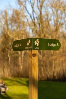 Woodz Lodges - Heusden-Zolder - 2