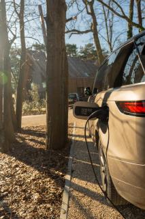 Woodz Lodges - Heusden-Zolder - 7