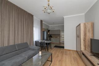 The Comfort Apartment #2 by Polo Apartments - Kaunas - 6