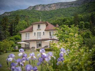 Venez Chez Vous La Villa des Pensières - Veyrier-du-Lac - 5