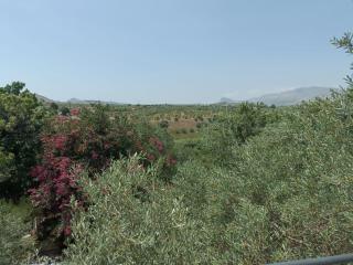 Verdura Country - Sciacca - 1