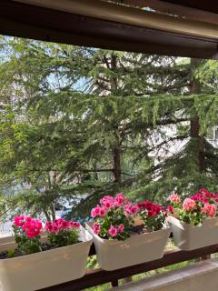 Ohrid Haze - 3