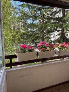 Ohrid Haze - 2