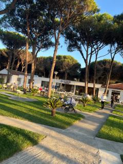 Durres Relax Holiday Home - - 9