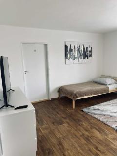 Velký byt se dvěma ložnicemi, zahrada, Wifi zdarma - Hradec Králové - 1