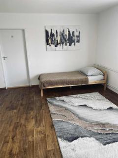 Velký byt se dvěma ložnicemi, zahrada, Wifi zdarma - Hradec Králové - 2