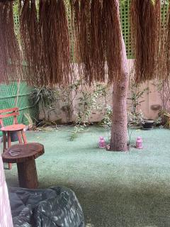 Cozy home with garden - Cairo - 8