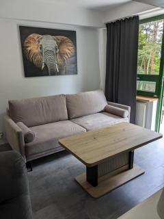 Apartament BOGDANKA nad Zalewem - Serock - 8