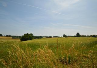 Les Hydrangeas - classé 3 étoiles meuble de tourisme - 7