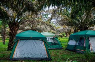 Bugoma Sand Beach - - 8