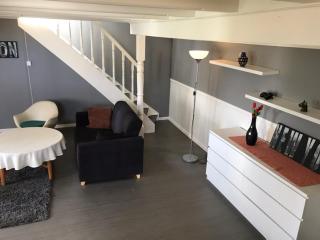 Villa Nordlys Garden House - 4