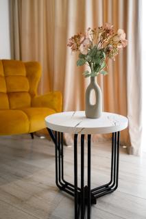 The Romantic Nest near Mall Moldova - 3