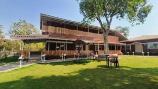 Magnolia Fields - Neral - 8