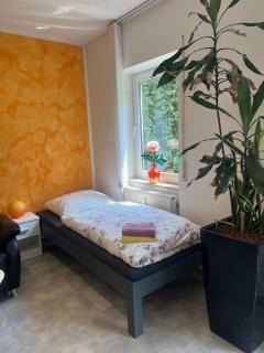 Pension Leipzig Ost - Borsdorf - 3
