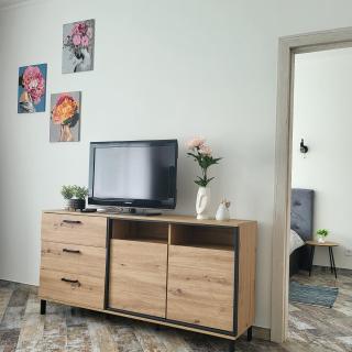 Giedres apartments-Alkava - Kaunas - 9
