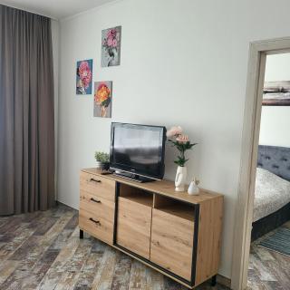 Giedres apartments-Alkava - Kaunas - 0