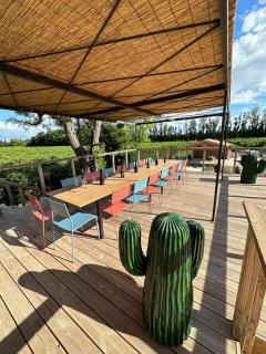 Mas Lorea, havre de paix en Provence - Tarascon - 7