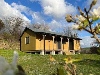 Newly built luxury cabin - Moffat - 0