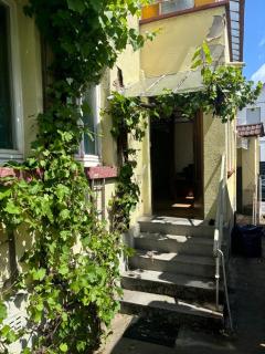 Green Plants 24 7 Check In 4 Persons - 3