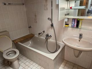 Green Plants 24 7 Check In 4 Persons - 2