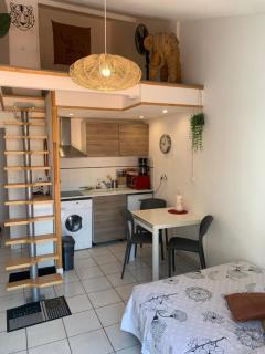 Duplex Raphael- Wi-fi et parking privé - Toulon - 9