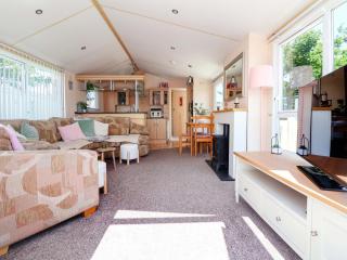 152 Central Park - Prestatyn - 4