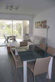 Very nice apartment 100 meters Calvi beach - Calvi - 1