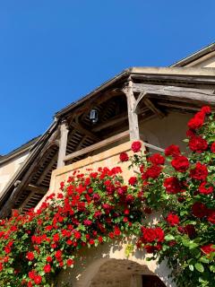 Domaine Borgnat - Escolives-Sainte-Camille - 5