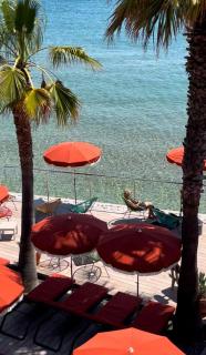 Hôtel Bor - Hyères - 8
