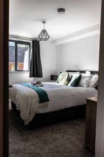 Amazing 2BR Apt Sofa Bed - Exmouth - 2
