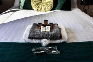 Amazing 2BR Apt Sofa Bed - 1