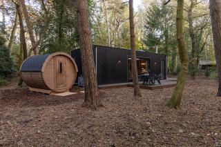 Boshuisje in Norg met panorama sauna - 4