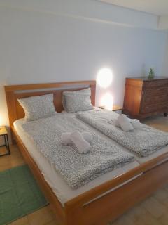 Aura Smart Haus con terrazza - Melano - 2