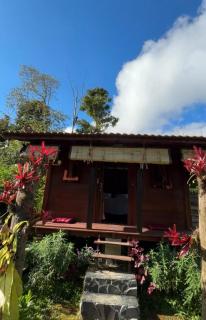 Yucan eco stay - Bedugul - 3