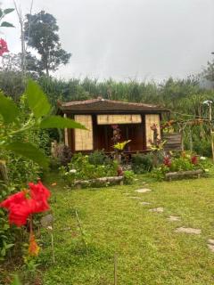 Yucan eco stay - Bedugul - 2