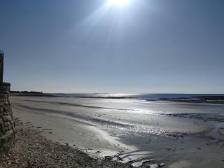 Maison moderne pour 8 pers. à 600m de la plage avec grand jardin - FR-1-639-140 - 1