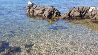 Vrancić3 - Rovinj - 6