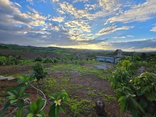 Smile Farm at Khaokho - Ban Thung Samo - 8