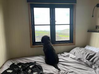 Travellers Rest Glamping Pods & Shepherds Hut - Newquay - 7