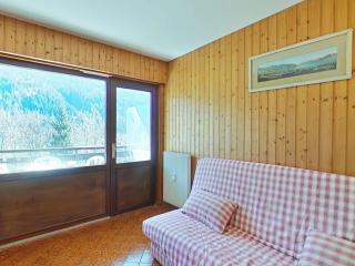 Studio 4 couchages, proche télécabine, parking, animaux acceptés - FR-1-241-75 - Le Grand-Bornand - 4