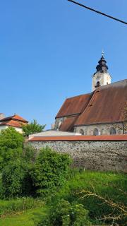 Spitzbart - Eferding - 0