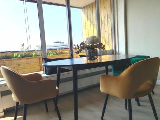 large apartment 55 m² ,view & terrace Paris - 7